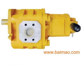 哪里專業(yè)銷售雙聯(lián)齒輪油泵 型號(hào)齊全 質(zhì)量可靠 ,哪里專業(yè)銷售雙聯(lián)齒輪油泵 型號(hào)齊全 質(zhì)量可靠 生產(chǎn)廠家,哪里專業(yè)銷售雙聯(lián)齒輪油泵 型號(hào)齊全 質(zhì)量可靠 價(jià)格