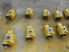 專業雙聯齒輪油泵選購指南 廠家、型號、質量與價格全解析